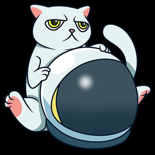 CAT TOKEN