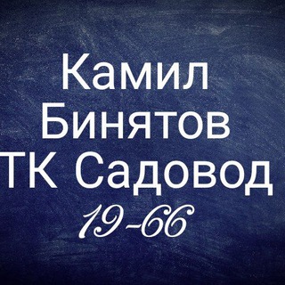 КАМИЛ БИНЯТОВ 19 ЛИНИЯ 66 ПАВИЛЬОН.ТК.САДОВОД