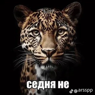 ДАЧАОГОРОДЖИЗНЬ