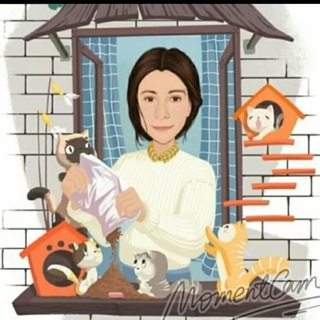 KRIS__CATS_KMV