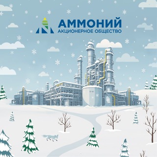 АО «АММОНИЙ» - ООО «МЕНДЕЛЕЕВСКАЗОТ»