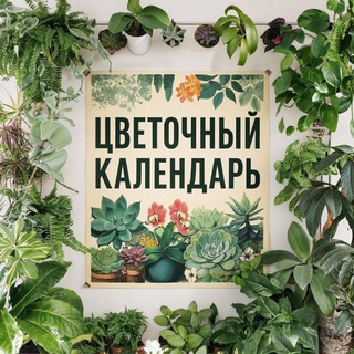 ЦВЕТОЧНЫЙ КАЛЕНДАРЬ МСК И СПБ