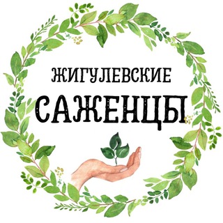 ПИТОМНИК РАСТЕНИЙ ЖИГУЛЕВСКИЕ САЖЕНЦЫ С. АЛЕКСАНДРОВКА
