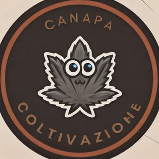 CANAPA COLTIVAZIONE