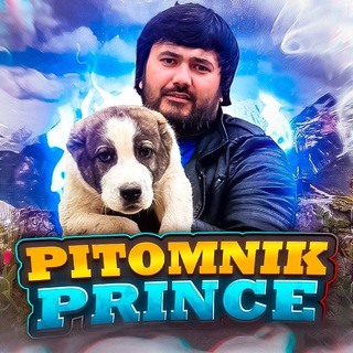 П-К ПРИНЦ РАСМИЙ ТЕЛЕГРАМ КАНАЛИ