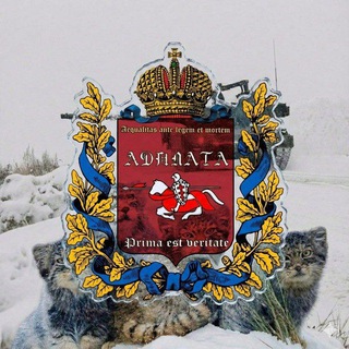 ПРОЕКТ